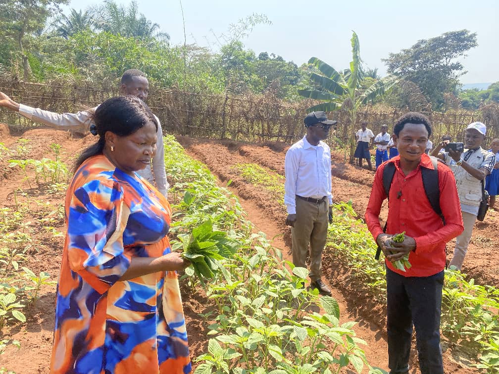 Kasaï 1 : lancement de la récolte des jardins scolaires à&nbsp;Tshikapa