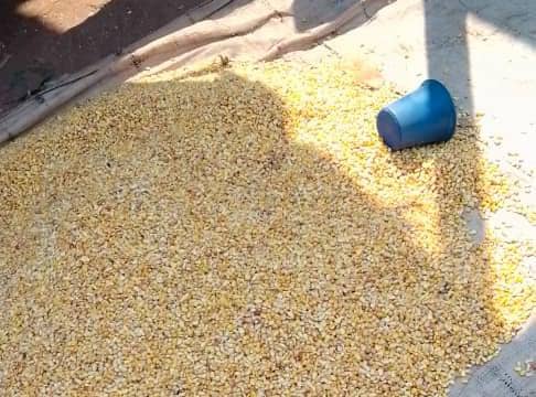 Kamako : Flambée du prix du maïs, les &laquo;&nbsp;Bayanda&nbsp;&raquo; dénoncent les multiples postes de&nbsp;contrôle